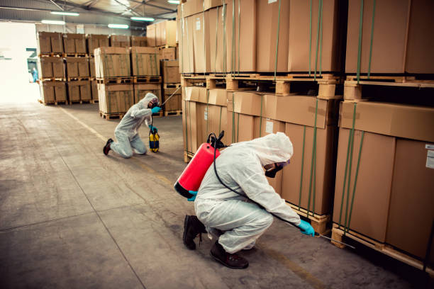 Best Bed Bug Extermination  in Fyffe, AL