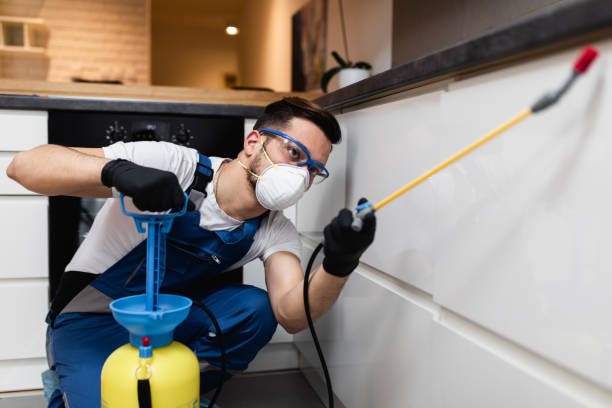 Best Commercial Pest Control Services  in Fyffe, AL