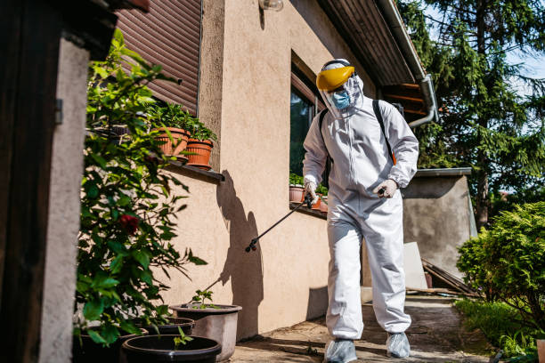 Best Best Pest Control Companies  in Fyffe, AL