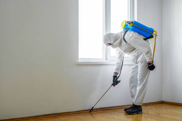 Best Affordable Pest Control Services  in Fyffe, AL