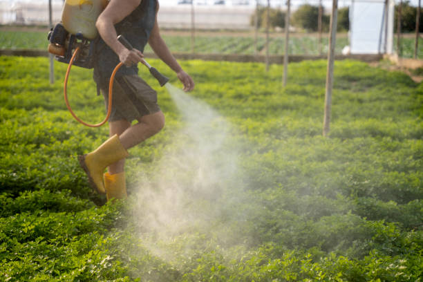 Reliable Fyffe, AL Pest Control Solutions