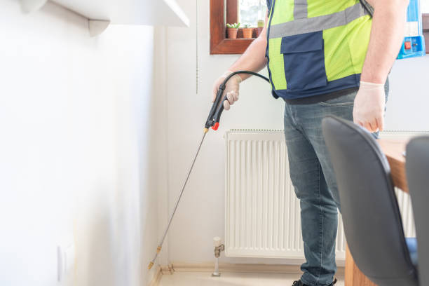 Best Ant Control Services  in Fyffe, AL