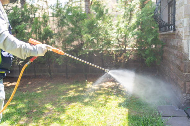 Best Flea Control Services  in Fyffe, AL