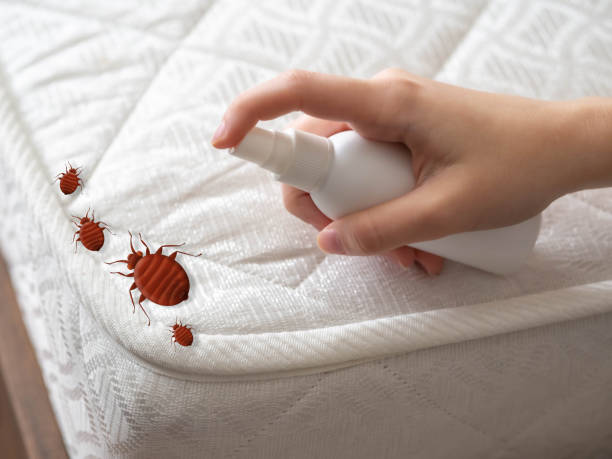 Best Exterminator Services  in Fyffe, AL