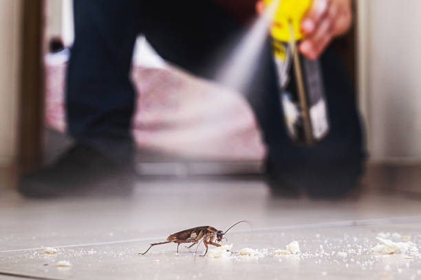 Best Residential Pest Control  in Fyffe, AL